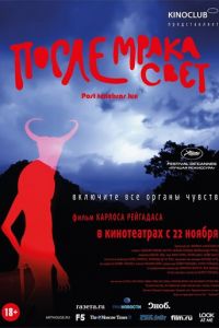   После мрака свет (2012)